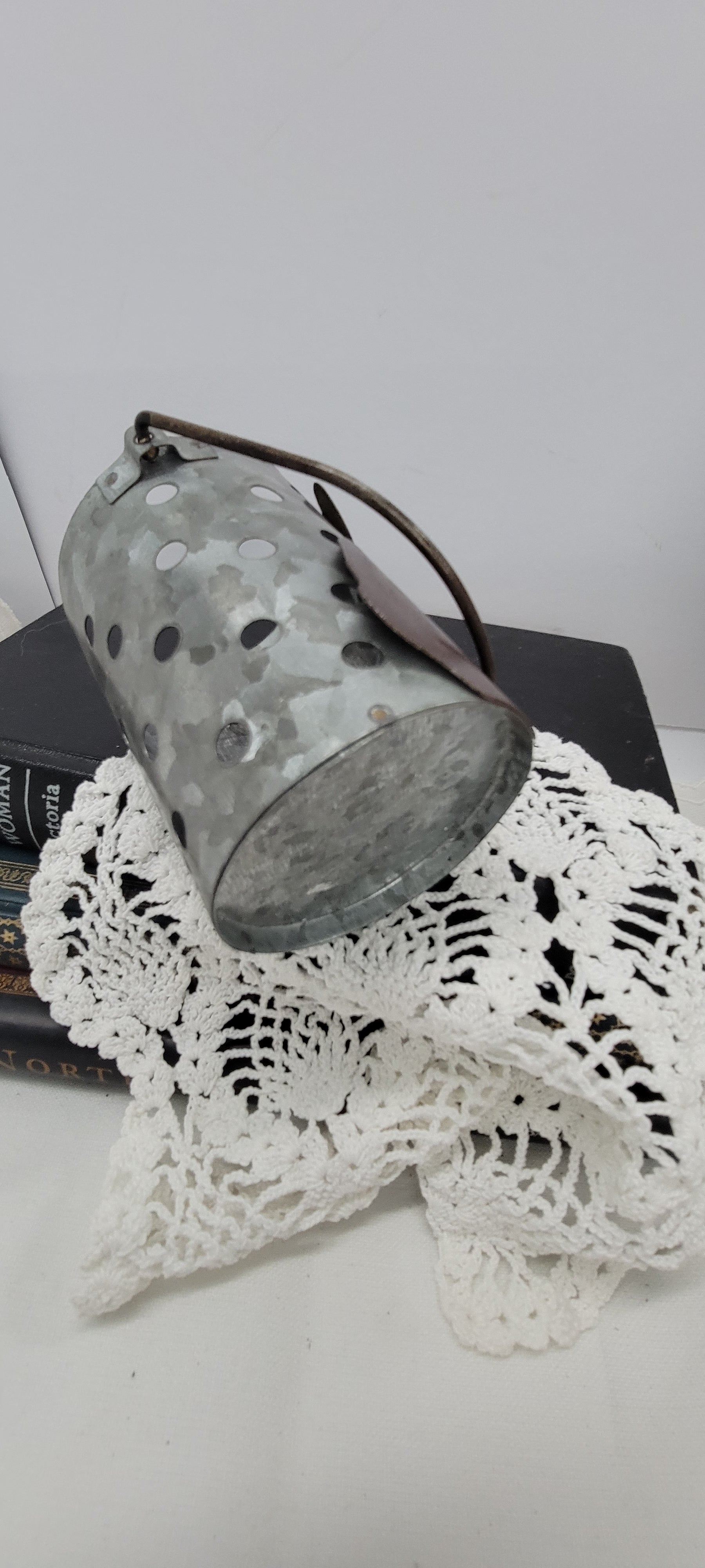 Galvanized Metal Bunny Bucket
