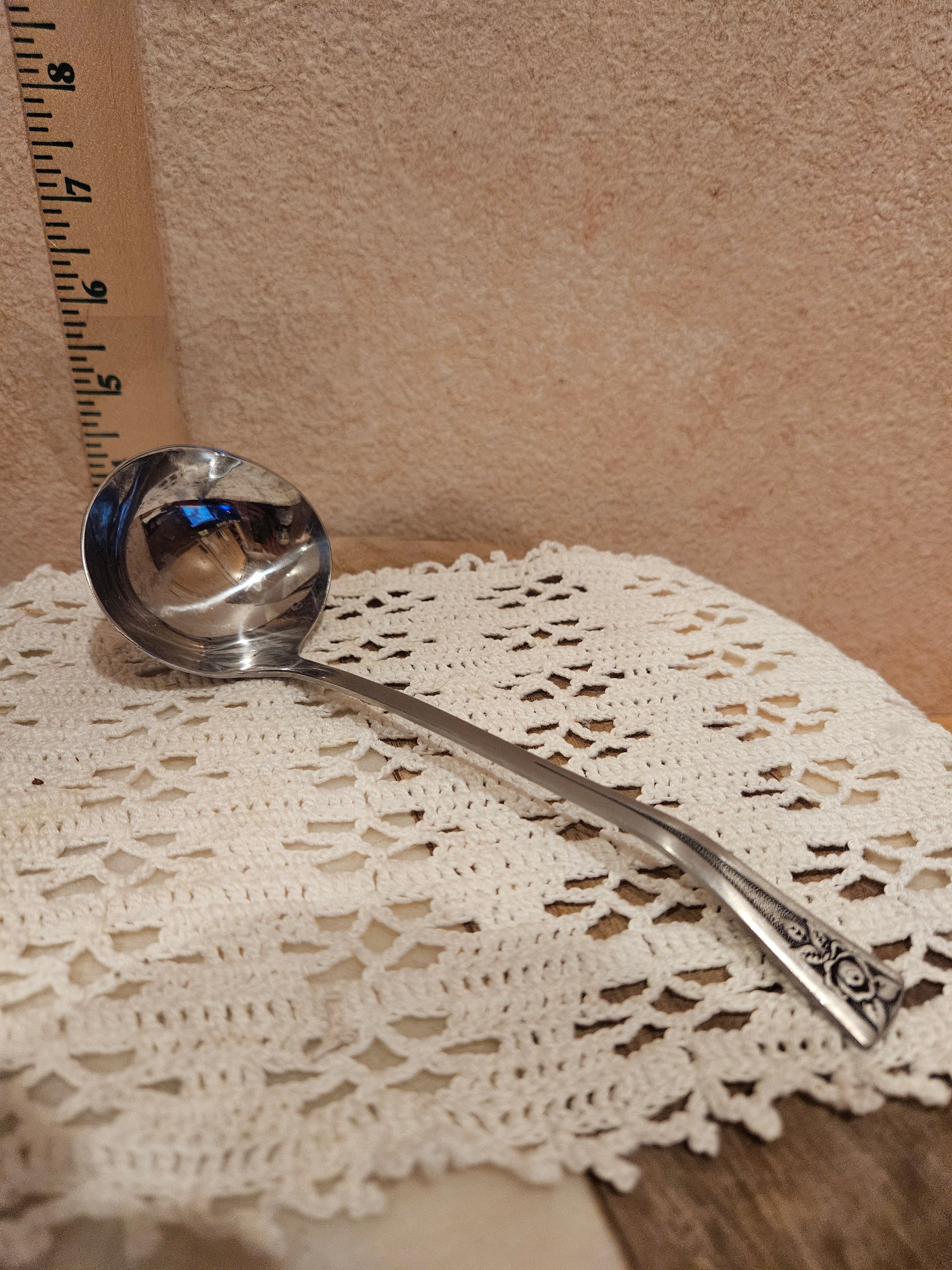 Stainless Steel Ladle