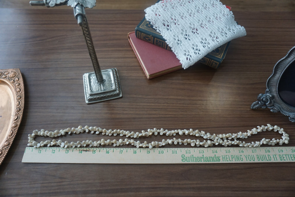Natural Shell Necklace
