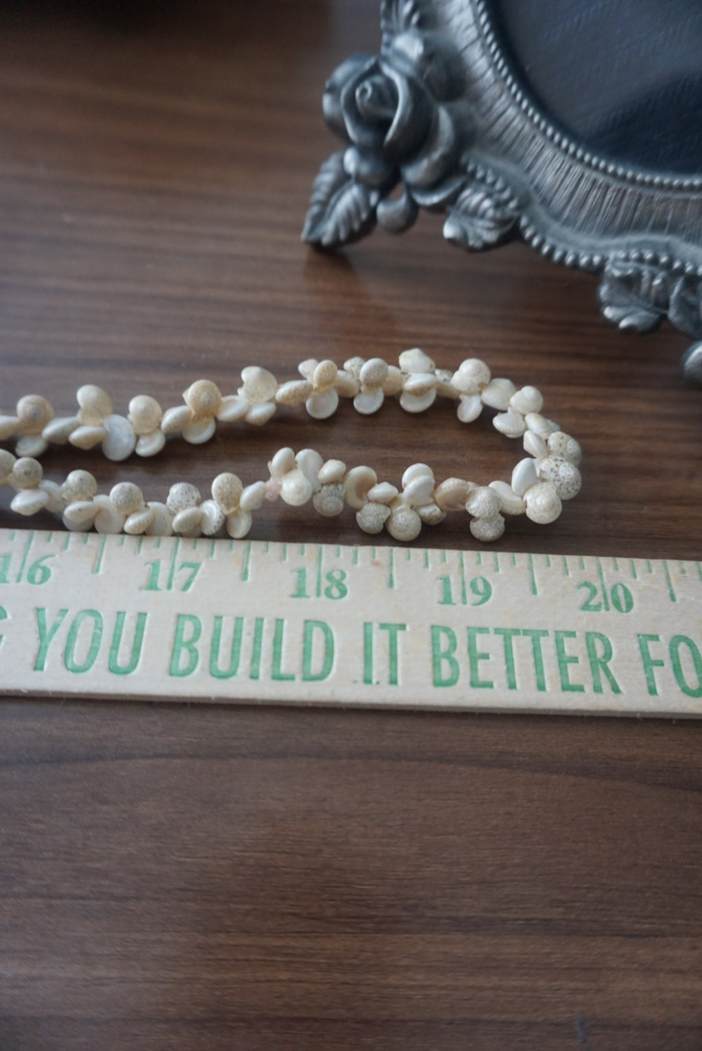 Natural Shell Necklace