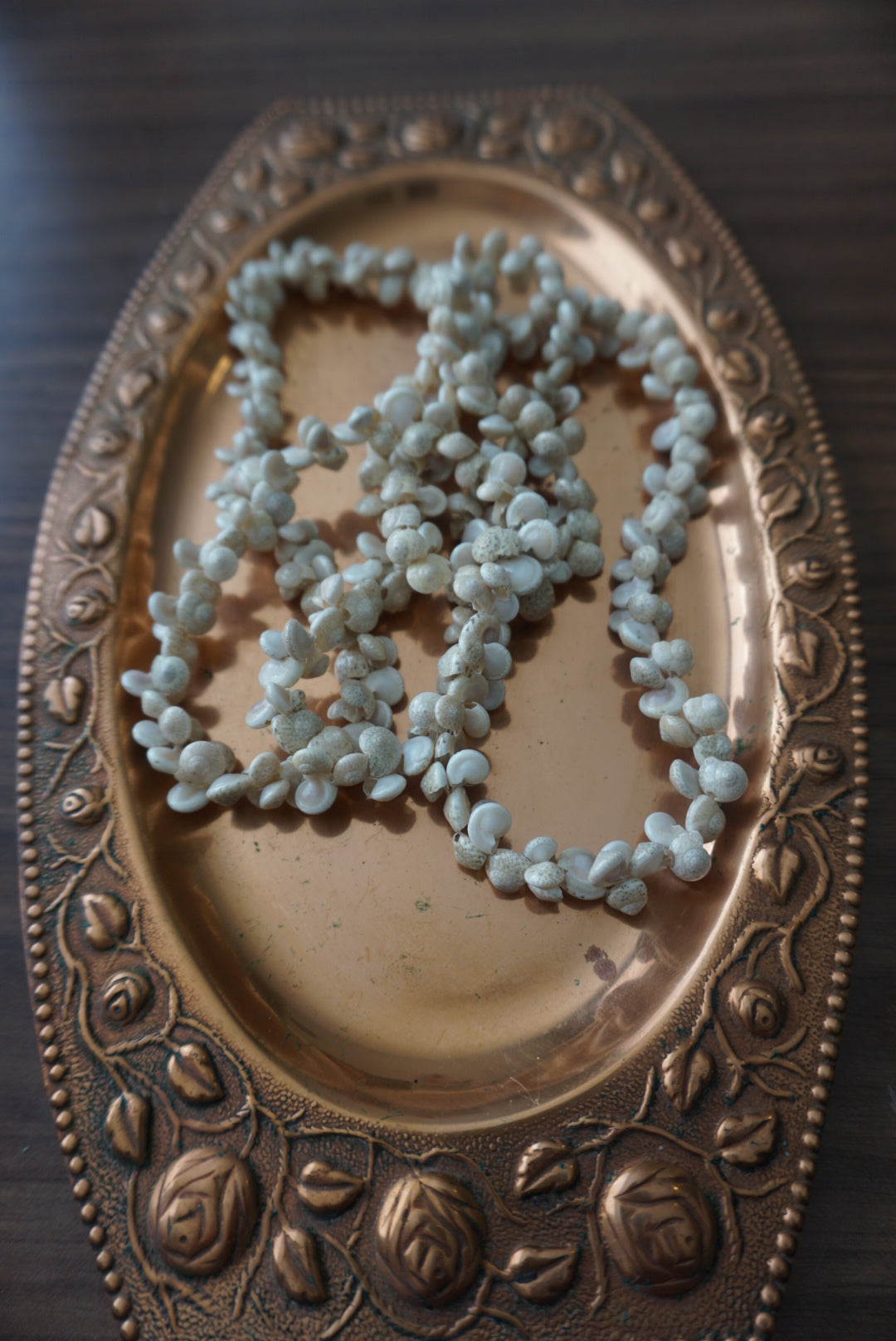 Natural Shell Necklace