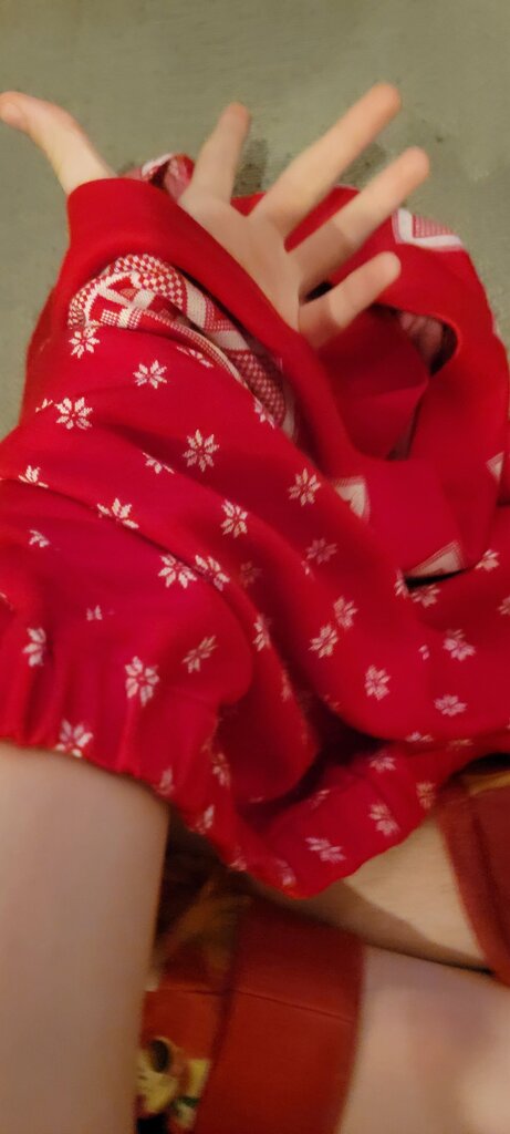 Red Winter Floral Skirt