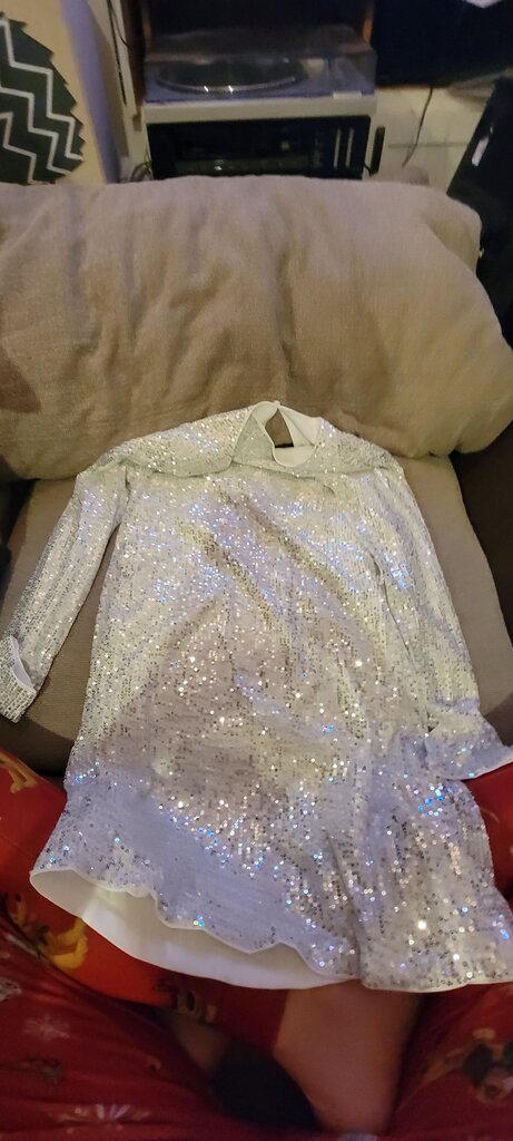 Shiny Sequin Dress
