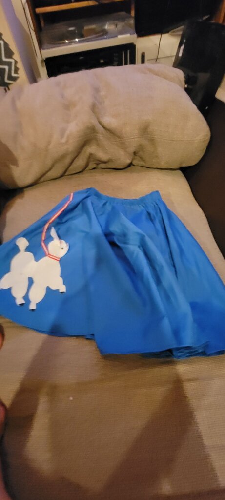 Blue Skirt with Poodle Design