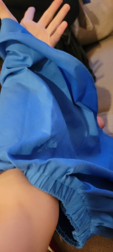 Blue Skirt with Poodle Design