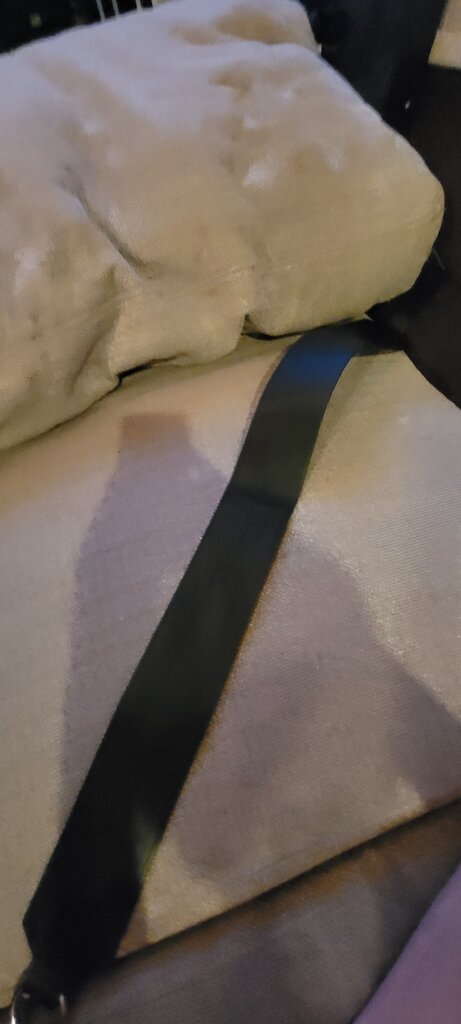 Colorful Adjustable Strap