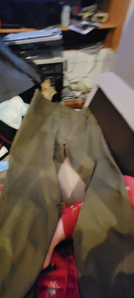 Polo Ralph Lauren Green Pants