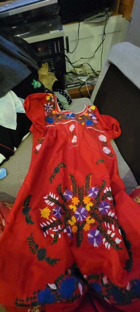 Embroidered Red Dress