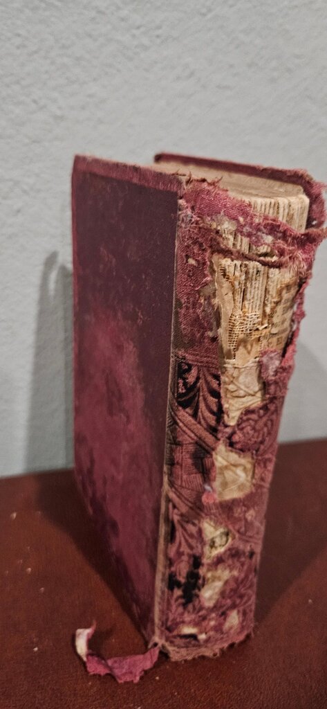 Vintage Book by F. M. Lupton 1886
