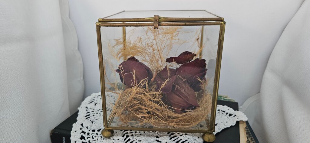 Dried Floral Footed Brass Glass Terrarium Shadow Box Real Flowers Rose