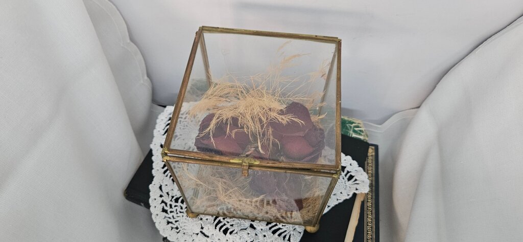 Dried Floral Footed Brass Glass Terrarium Shadow Box Real Flowers Rose