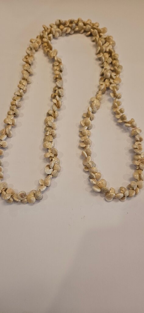 Natural Shell Necklace