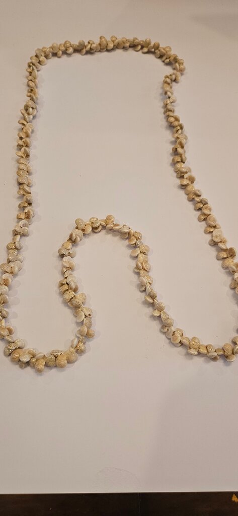 Natural Shell Necklace