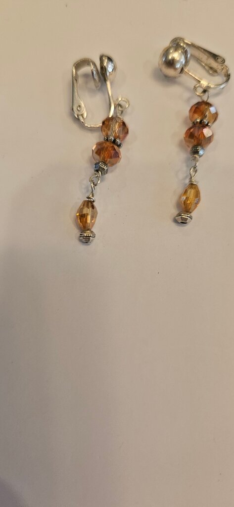 Stylish Beaded Dangle Earrings