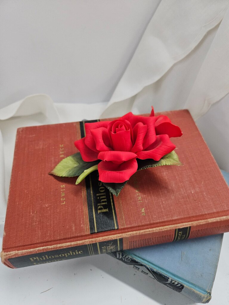 Decorative Double Red Rose by Andrea