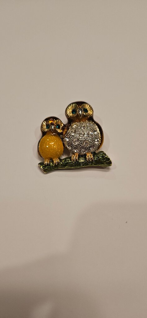 Cute Owl Couple Enamel Pin