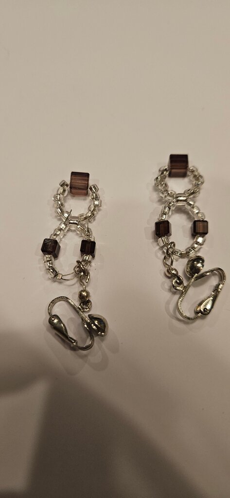 Elegant Brown and Silver Earrings