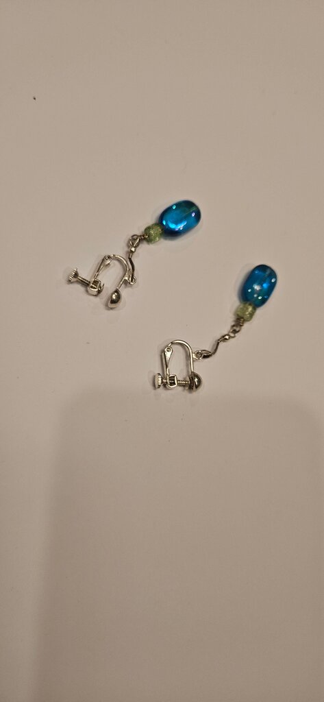 Blue Glass Beaded Earrings