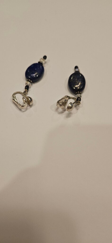 Lapis Lazuli and Silver Earrings