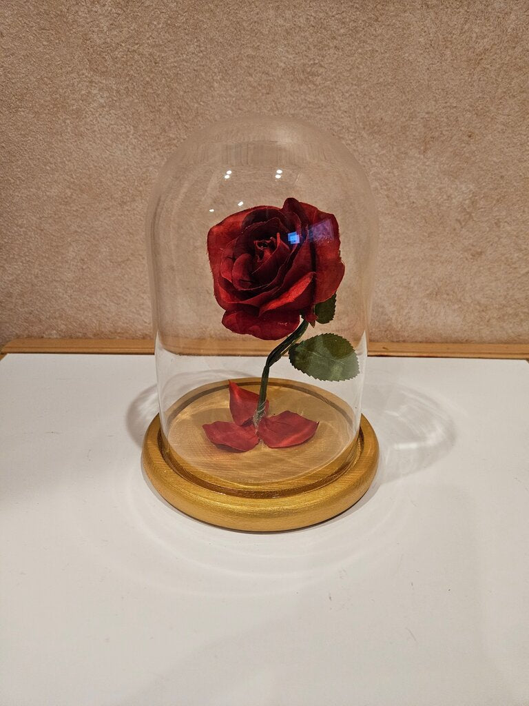 Red Rose Under Glass Dome Belle Beauty And Beast Enchanted Rose in Glass Dome Belle Jar