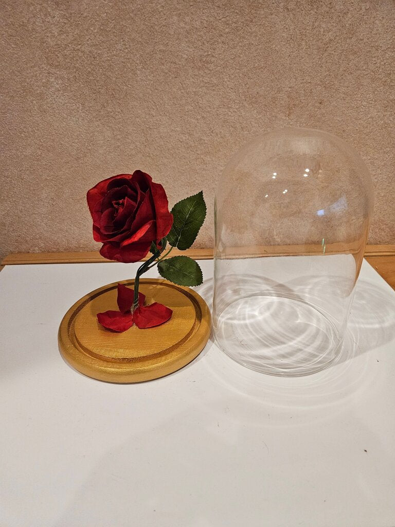 Red Rose Under Glass Dome Belle Beauty And Beast Enchanted Rose in Glass Dome Belle Jar