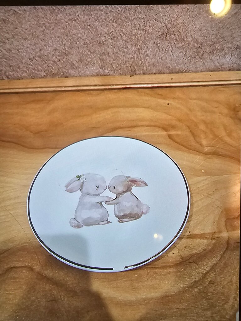 Cute Bunny Plate with Artwork as is