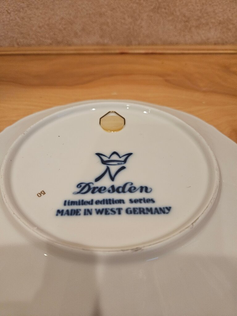 Dresden Mother's Day Plate 1973(German)
