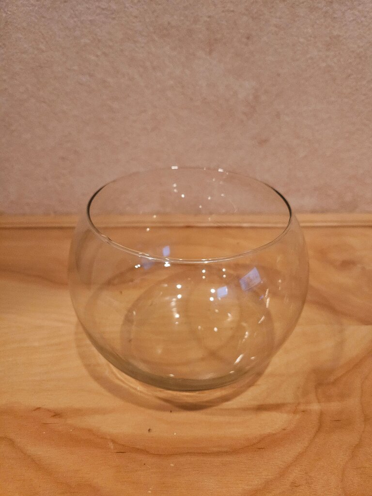 Clear Glass globe, perfect size to start your terrarium for succulents/ Vase