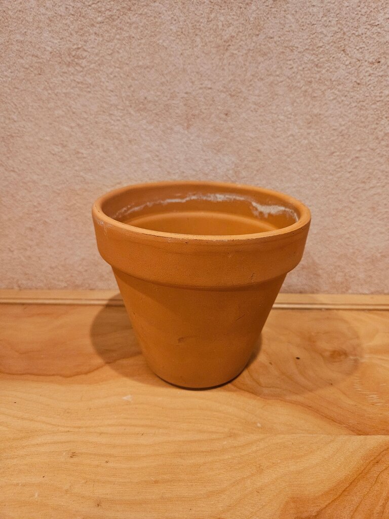 Terracotta Plant Pot