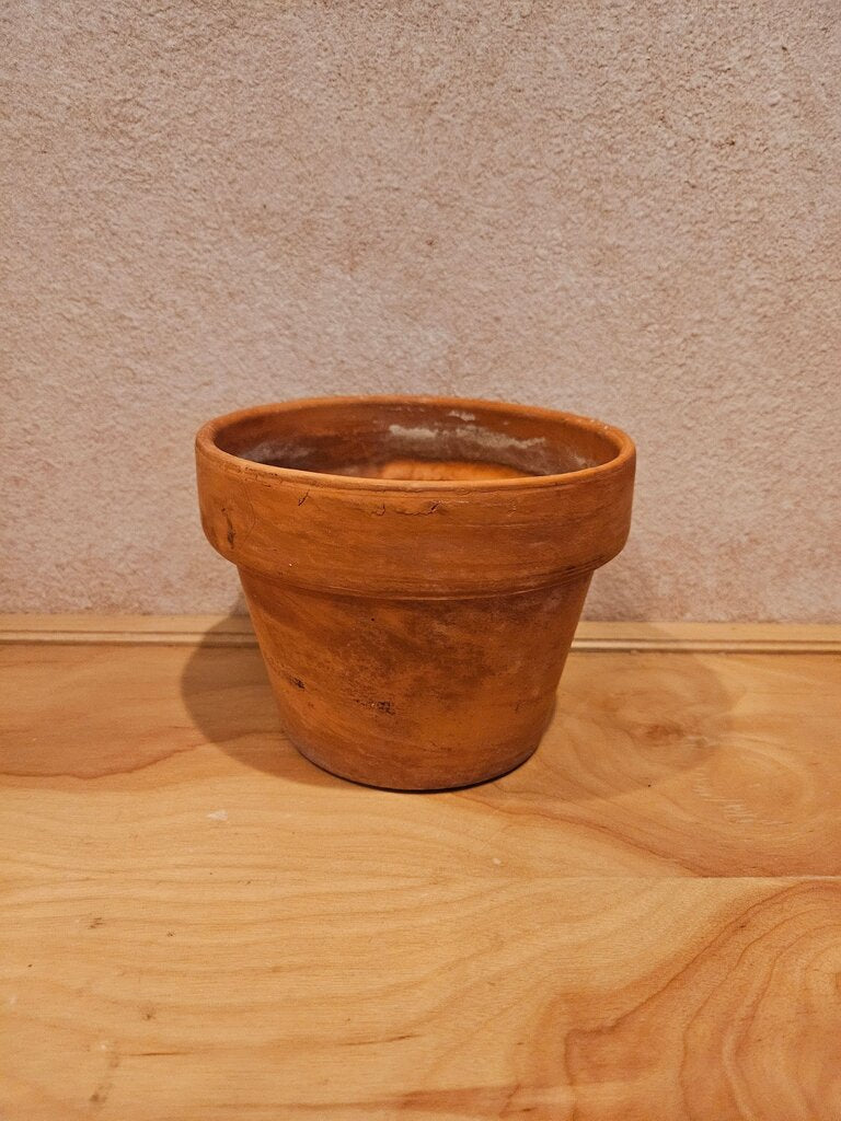 Terracotta Plant Pot