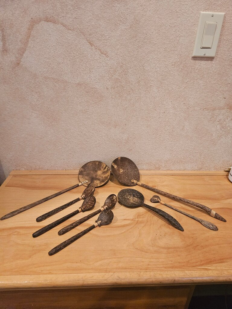 COCONUT SHELL SPOON handmade eco-friendly Handcrafted Wooden