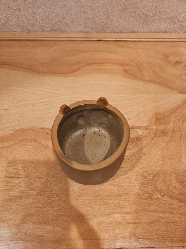 Bear Face Planter Pot