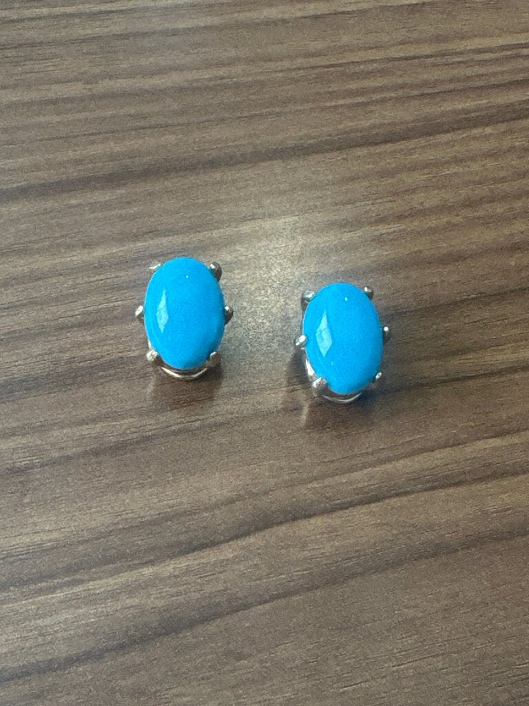 Turquoise Stone Earrings