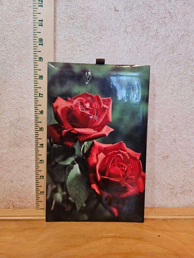 Framed Image of Red Roses