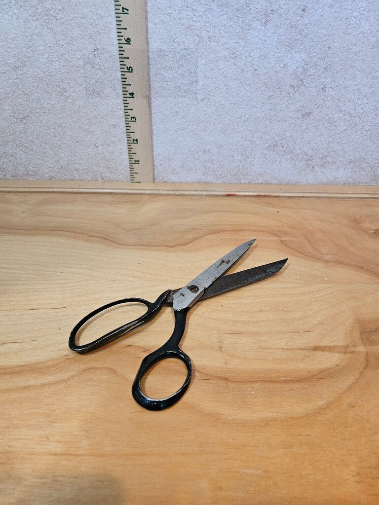 Black Scissors