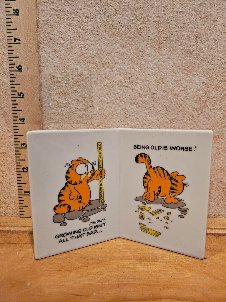 Garfield The Cat GROWING & BEING OLD Vintage 70's Standing Porcelain Sign Plaque
