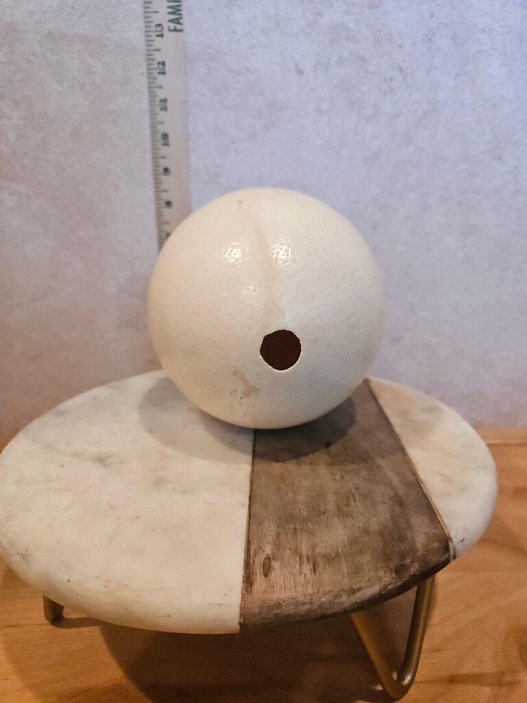 Vintage Natural Ostrich Egg w/ Brass Fancy Stand w/ Insides Blown Out and Dried. Hole in Only One End.