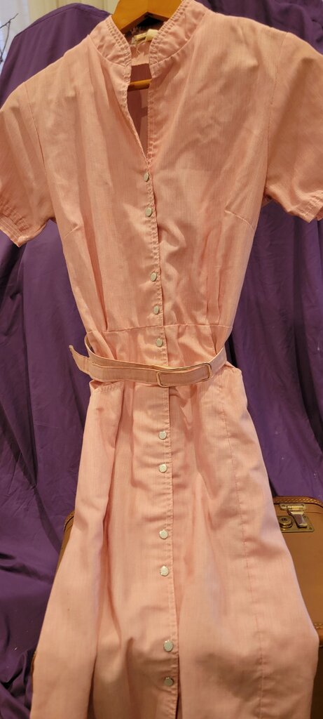 Johnny Appleseed's Dress
