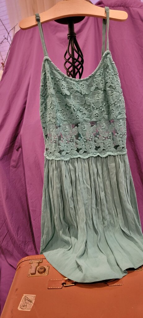 Alythea Women's Sleeveless Lace Dress