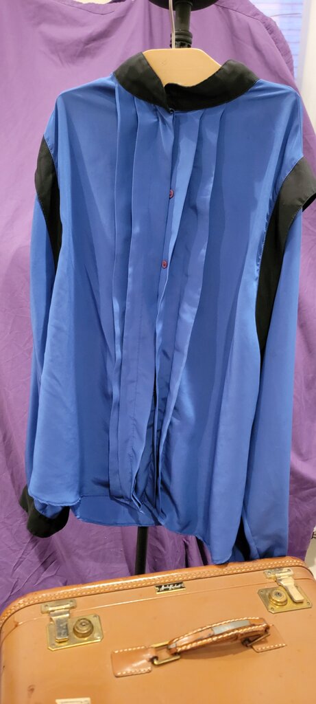Michelle Stuart Blue Pleated Blouse