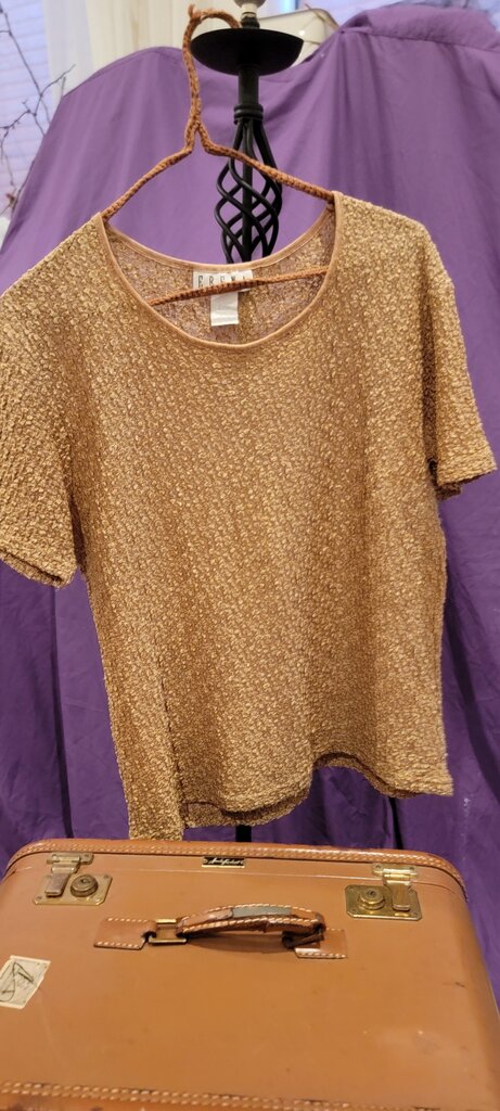 ERENA Short Sleeve Metallic Top