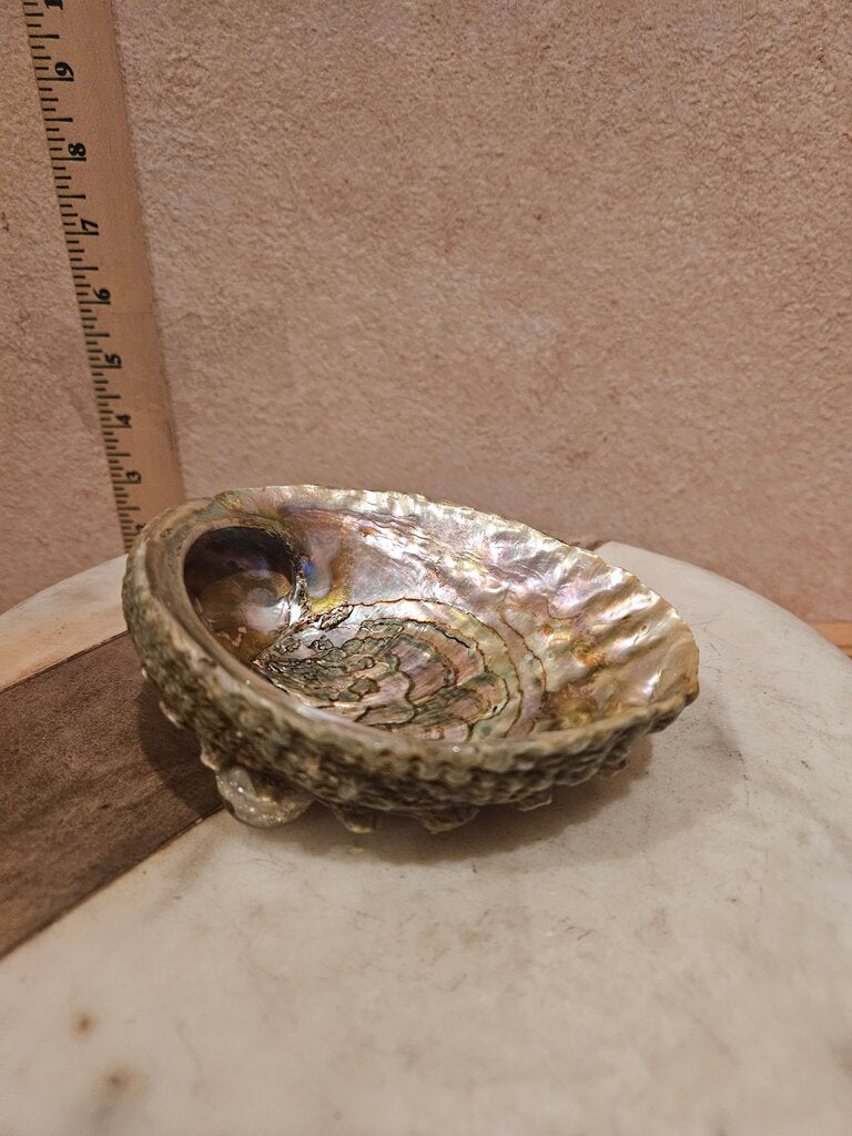Vintage Iridescent Sea Shell Trinket Jewelry Dresser Footed Novelty Dish