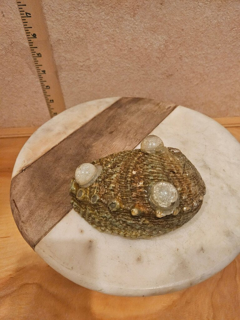 Vintage Iridescent Sea Shell Trinket Jewelry Dresser Footed Novelty Dish