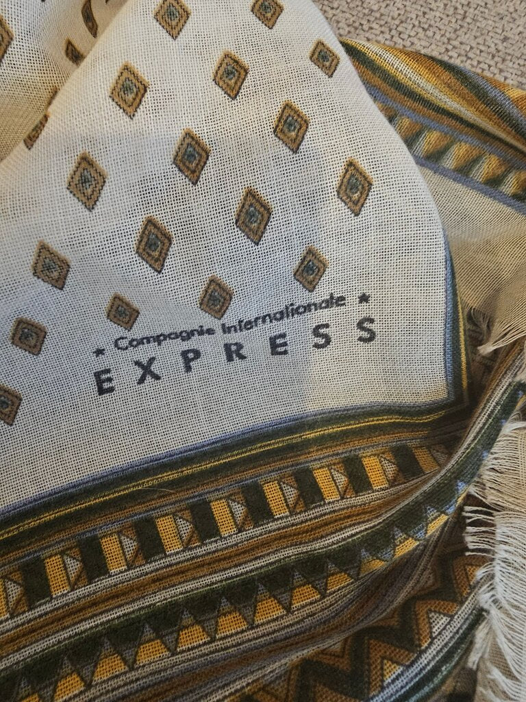 Express Printed Scarf