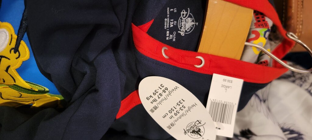 Walt Disney World Kids Hoodie