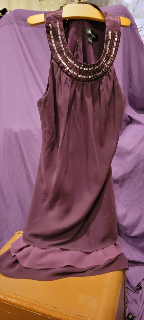 S.L. Fashions Purple Dress with Beaded Neckline