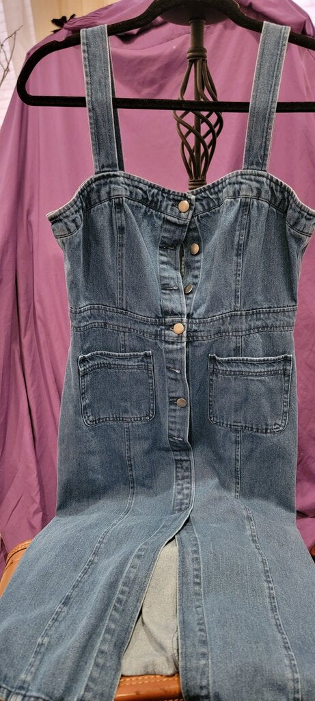 dd Dakota Denim Dress