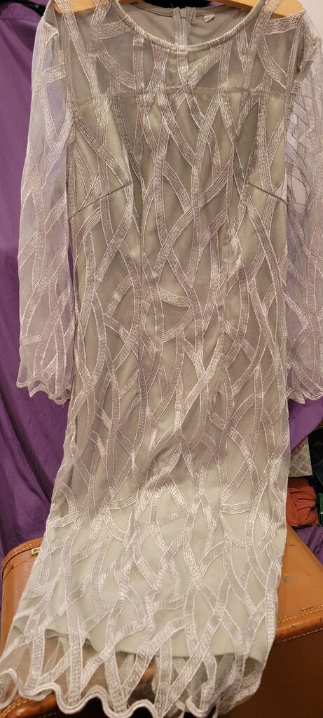Women's Elegant Sheer Overlay Dress