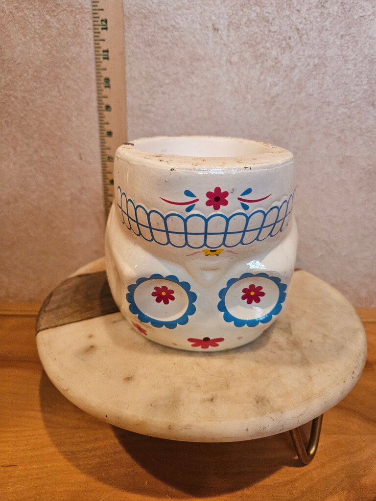 Decorative Sugar Skull Planter