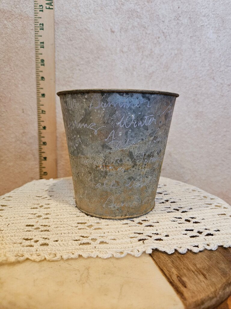4-inch tin Fern in Decorative Pot